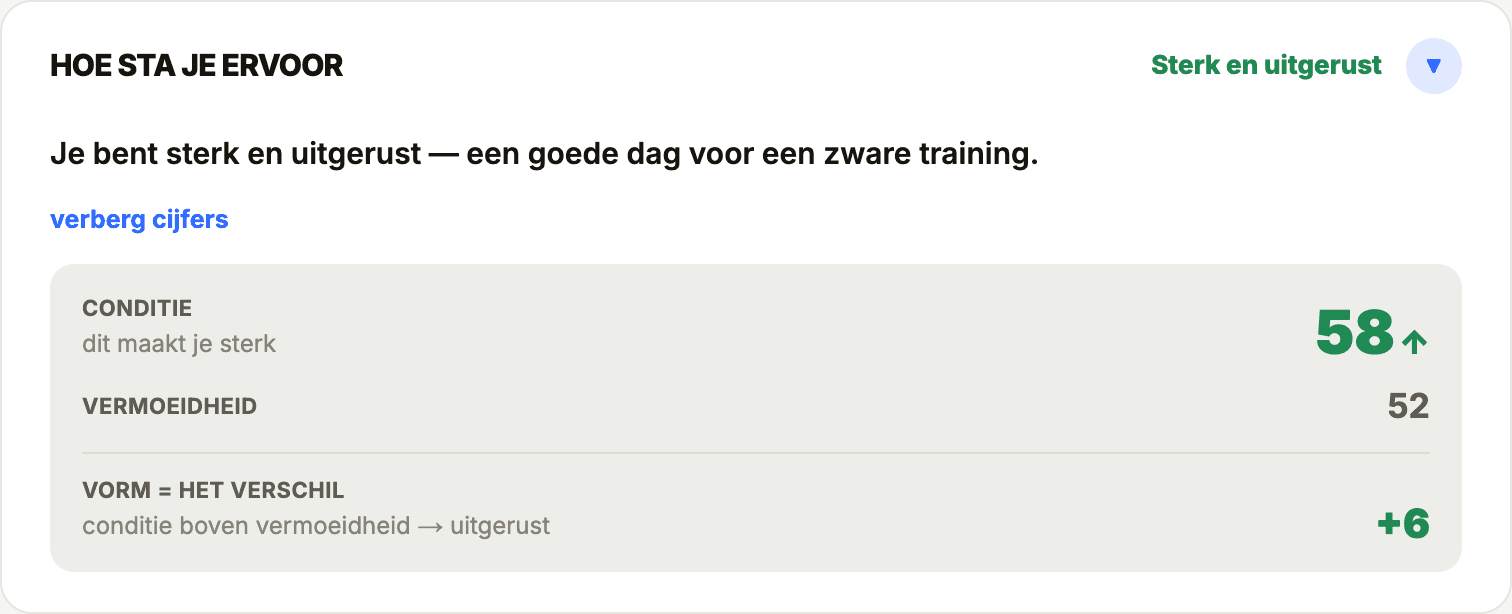Je vorm, eerlijk in beeld